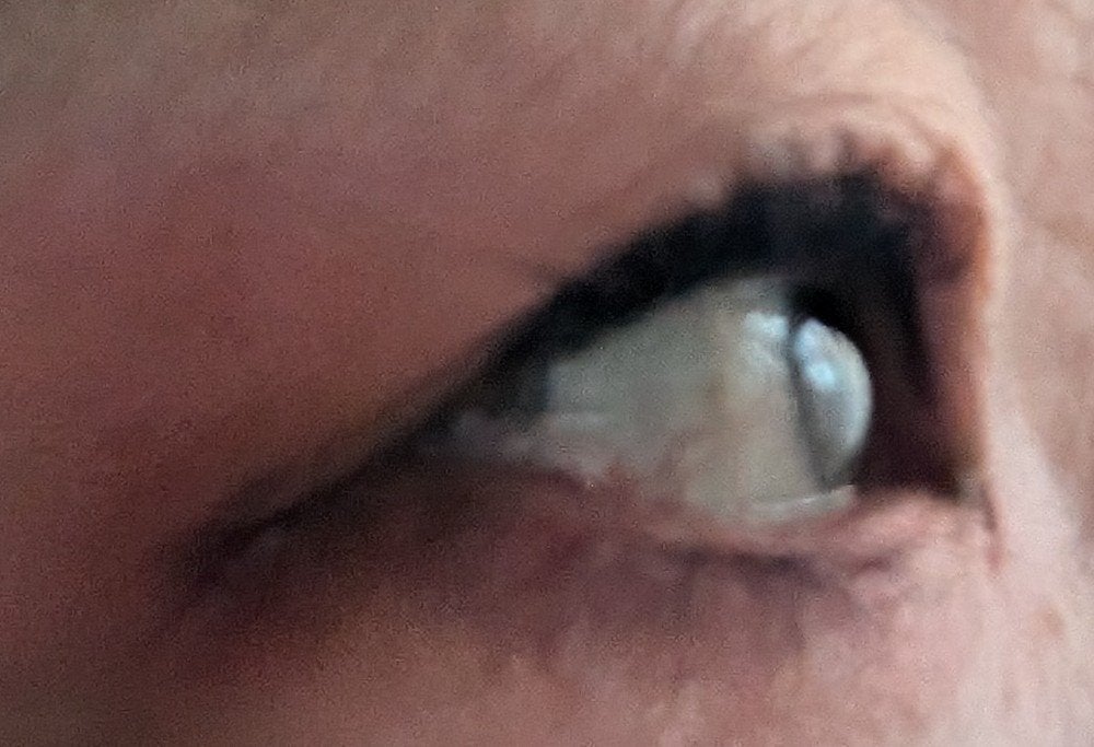 CHEER me COLOR ジェルアイライナー/セリア/ジェルアイライナーを使ったクチコミ(3枚目)