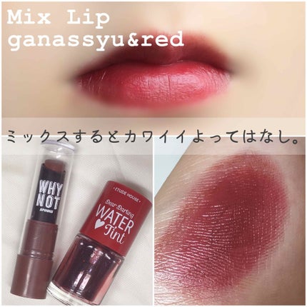 WHY NOT SPINNS リップスティック/DAISO/口紅を使ったクチコミ(1枚目)