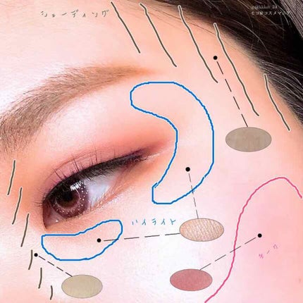 プロ コントゥアー パレット/CLIO/シェーディングを使ったクチコミ(3枚目)