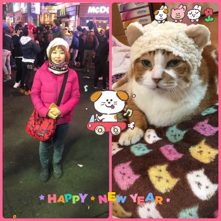 【旧品】パーフェクトスタイリストアイズ/キャンメイク/アイシャドウパレットを使ったクチコミ(1枚目)