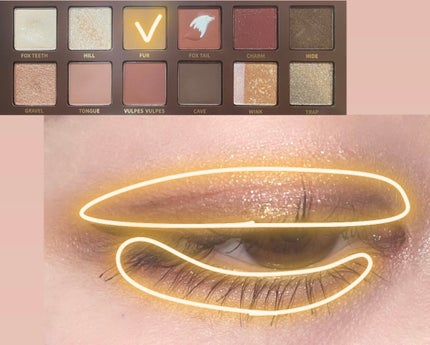 エクスプローラ12色 動物アイシャドウパレット/PERFECT DIARY/アイシャドウパレットを使ったクチコミ(5枚目)