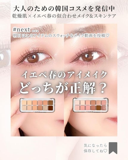 プロ アイ パレット エアー/CLIO/アイシャドウパレットを使ったクチコミ(8枚目)