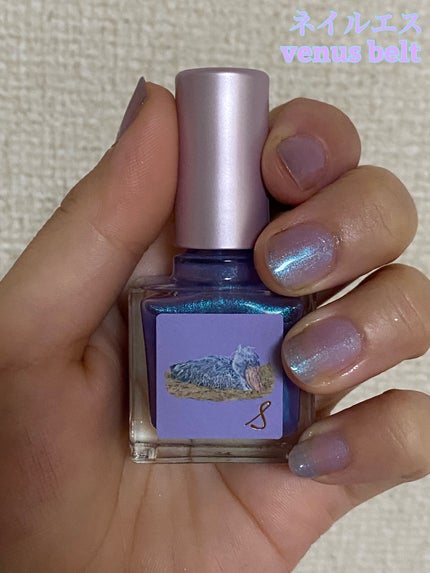 ネイルエス/ nail S(ネイルエス) /マニキュアを使ったクチコミ(1枚目)