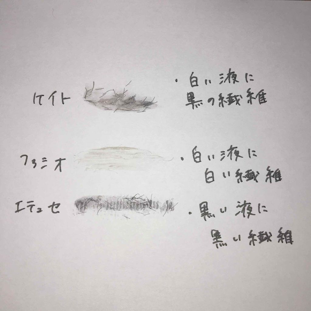 マスカラ ベース(ロング/ボリューム)/FASIO/マスカラ下地を使ったクチコミ(2枚目)