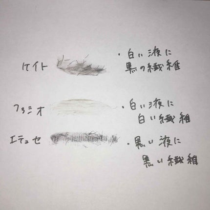 ラッシュマキシマイザーN/KATE/マスカラ下地を使ったクチコミ(2枚目)