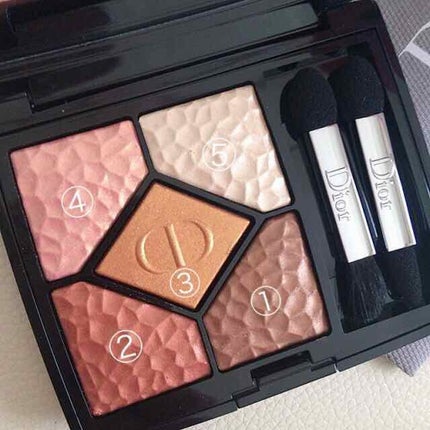 サンク クルール<ワイルド アース>/Dior/アイシャドウパレットを使ったクチコミ(2枚目)