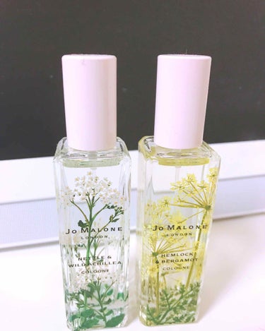 ネトル ＆ ワイルド アチリー コロン/Jo MALONE LONDON/香水(レディース)を使ったクチコミ（1枚目）