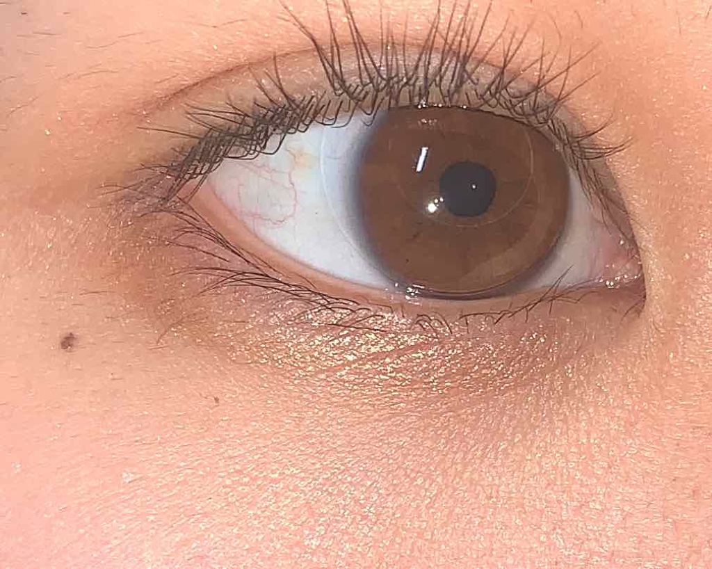 ミニアイラッシュカーラー/SHISEIDO/ビューラーを使ったクチコミ（1枚目）