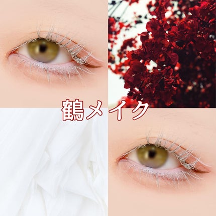 エクスプローラ12色 動物アイシャドウパレット/PERFECT DIARY/アイシャドウパレットを使ったクチコミ(1枚目)