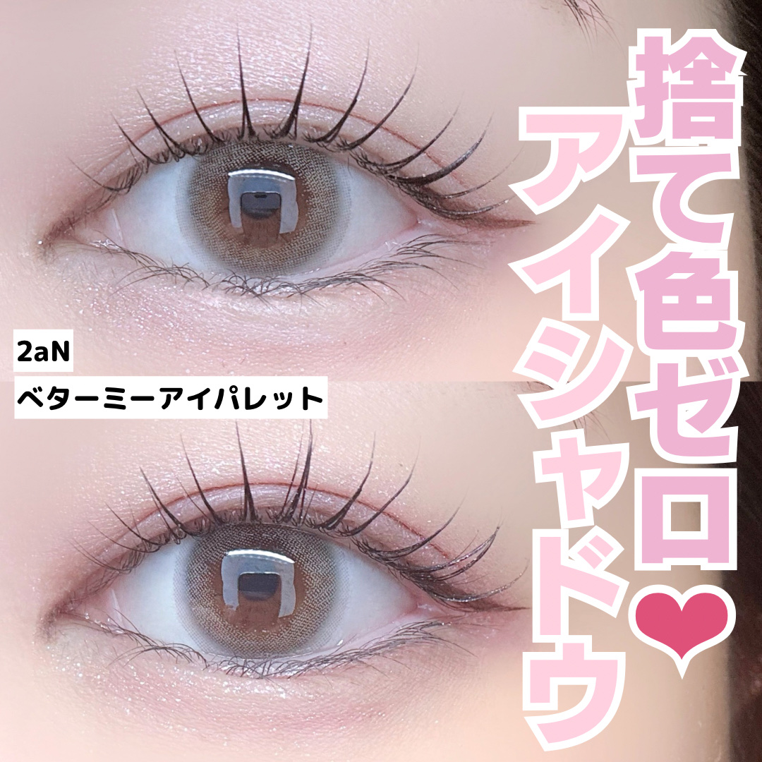 ベターミーアイパレット/2aN/マルチパレットを使ったクチコミ（1枚目）