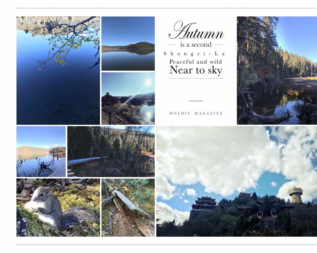 つや消しセッティングスプレー/COVER FX（海外）/ミスト状化粧水を使ったクチコミ（2枚目）