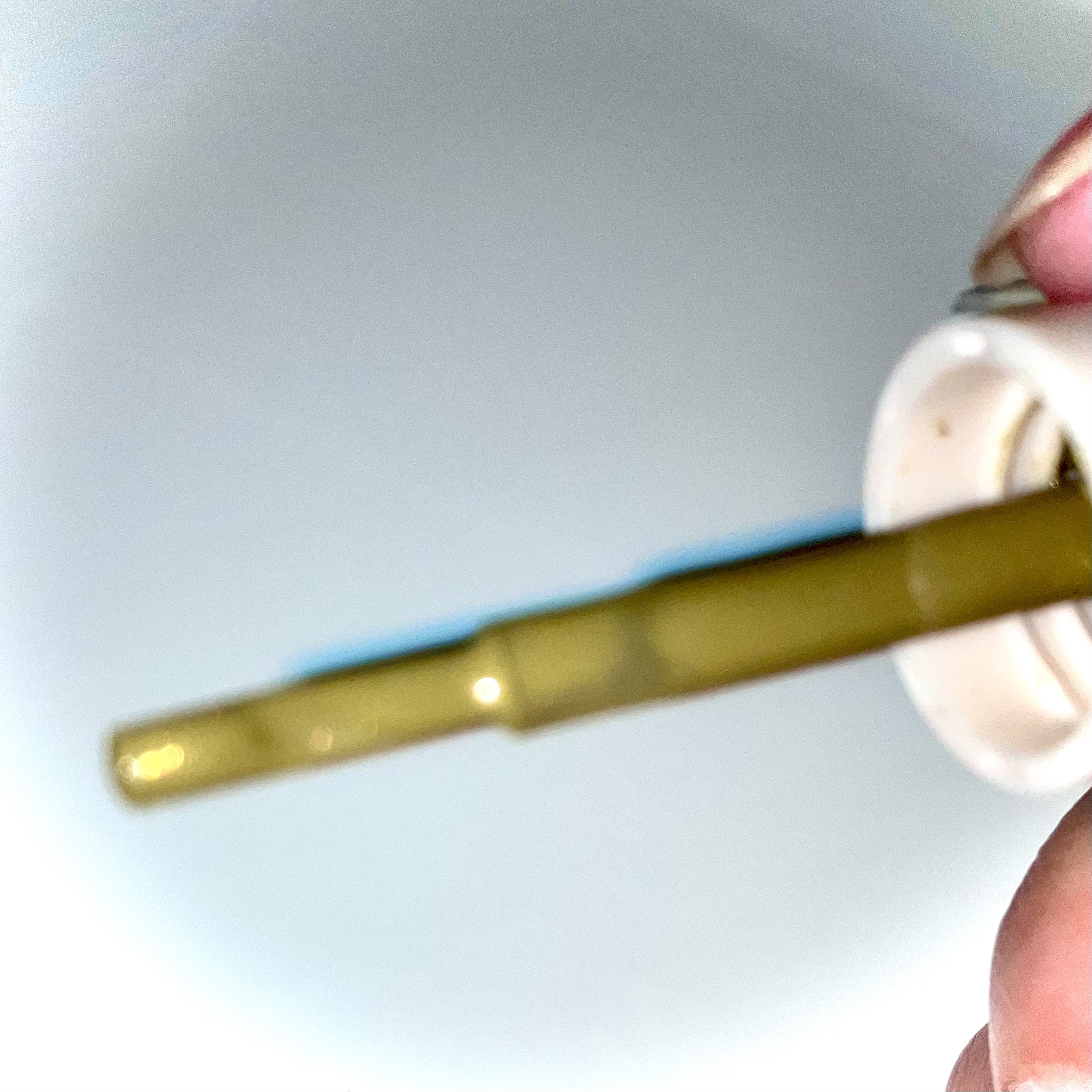 ナチュラルネイルカラーN/デュカート/マニキュアを使ったクチコミ（2枚目）