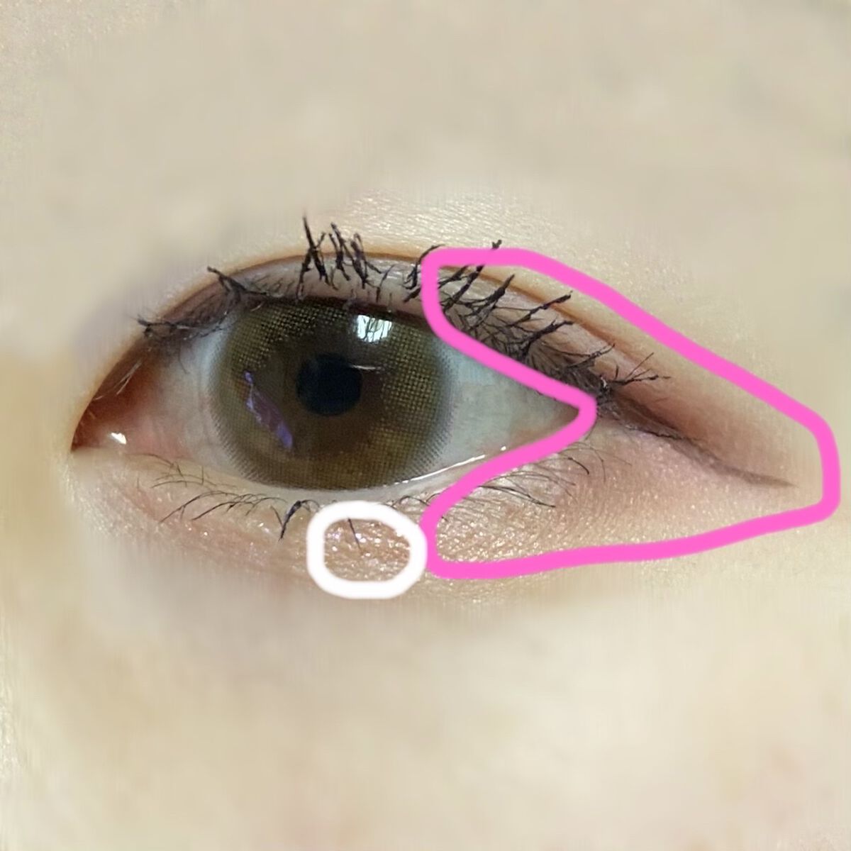 ショコラスウィート アイズ ソフトマット/リンメル ロンドン/アイシャドウパレットを使ったクチコミ（2枚目）