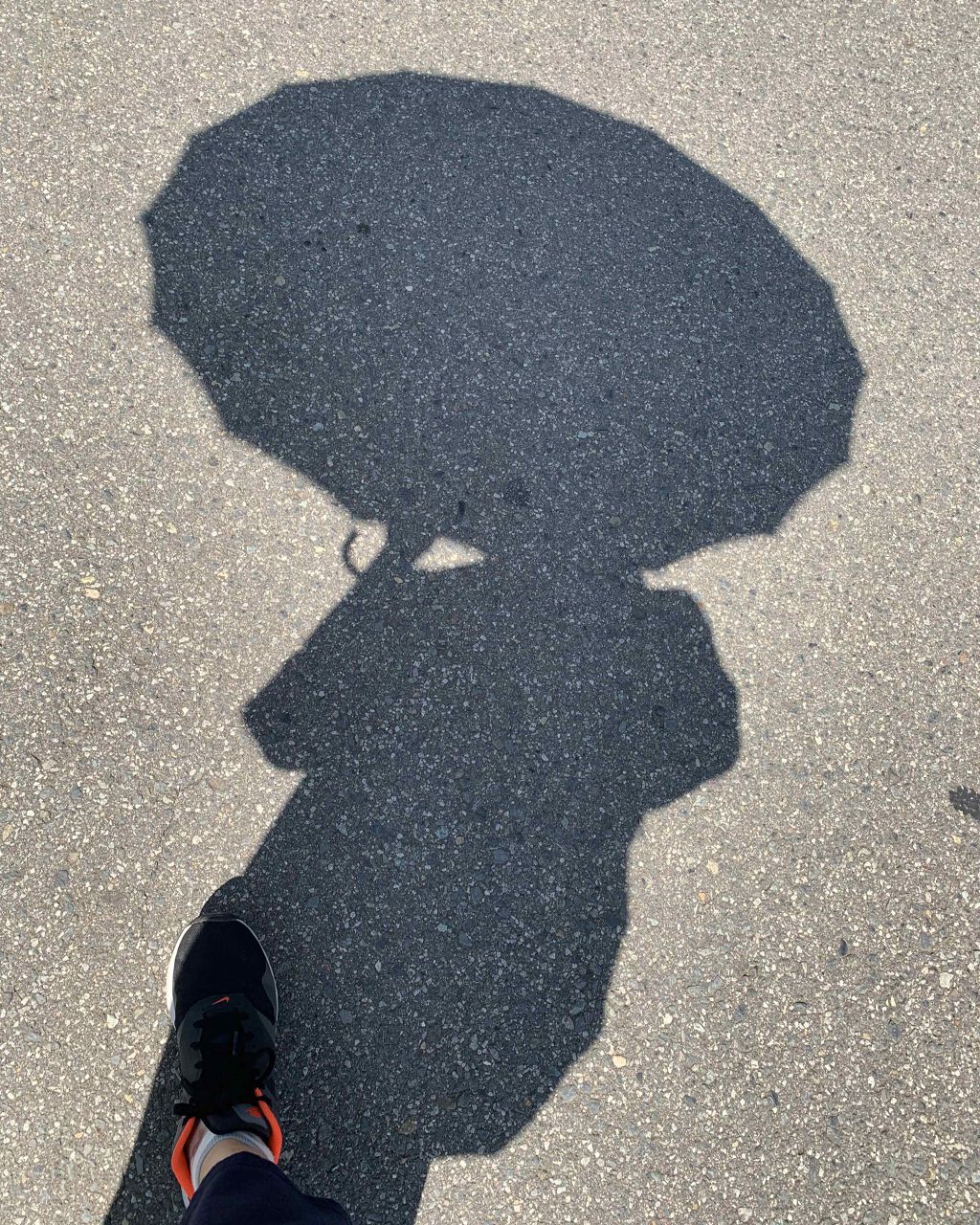 ももんちゃん on LIPS 「10ヶ月ぶりでございます。雑談です。ほぼ一年ぶり🥺この10ヶ月..」(1枚目)