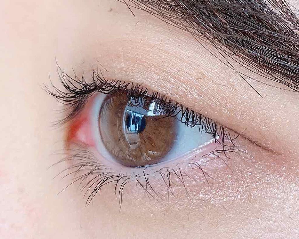 ラッシュティント/MAJOLICA MAJORCA/マスカラを使ったクチコミ(1枚目)