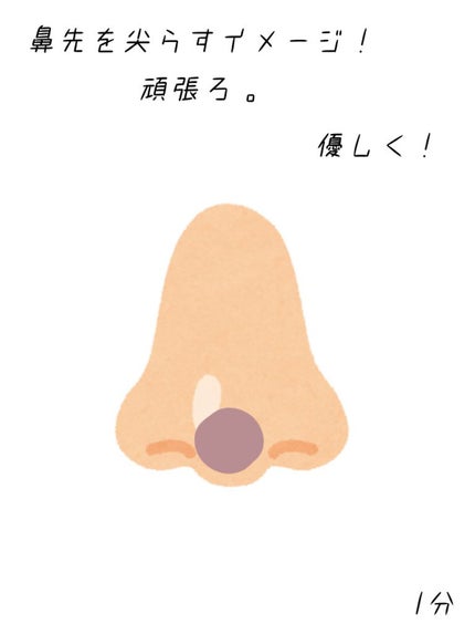 ✗ARIA✗ on LIPS 「~だんご鼻解消~今回紹介したのは綺麗な鼻作りのための投稿です!..」(6枚目)