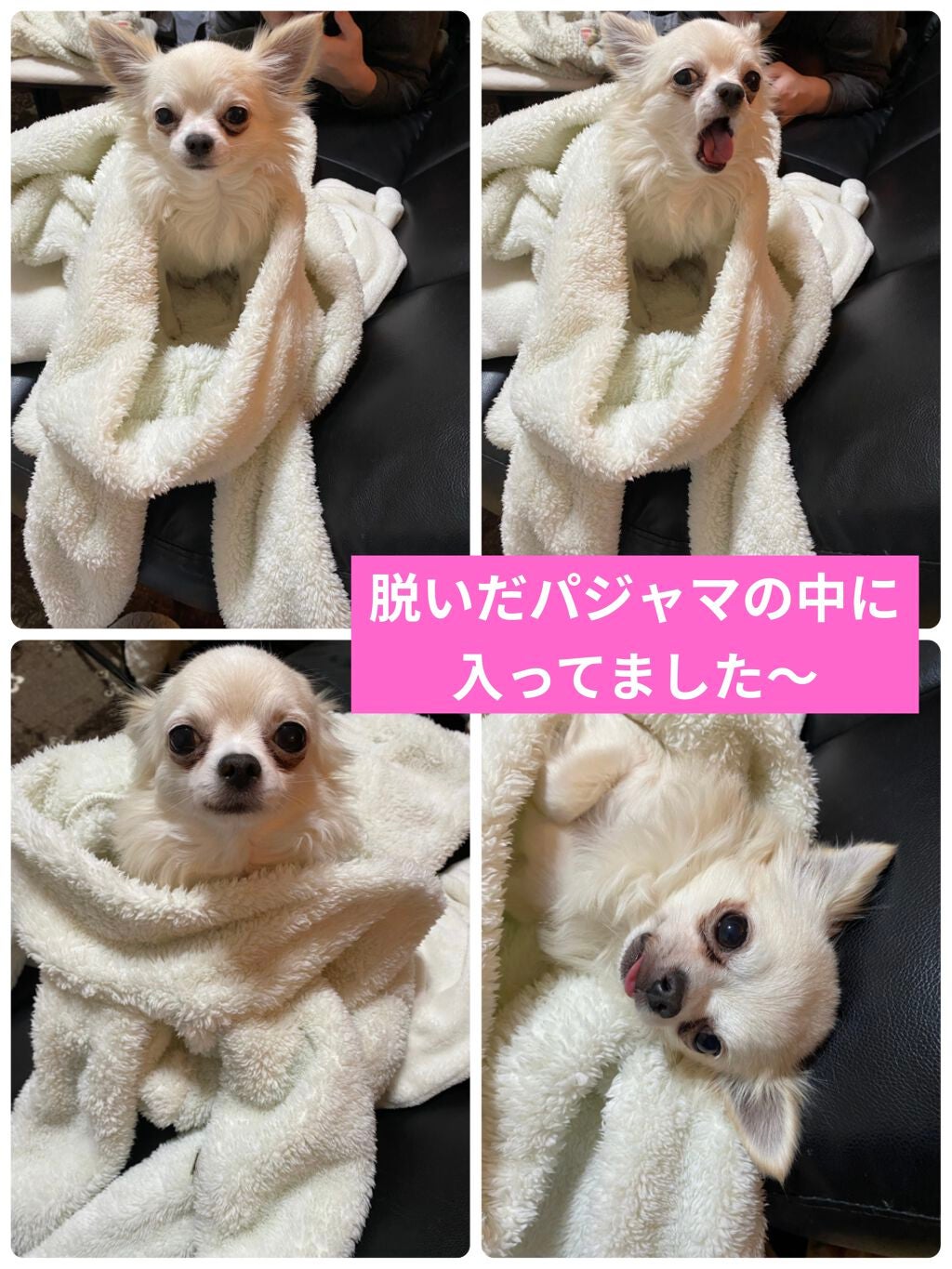 ネイルケアプロテクター/オルビス/ネイルオイル・トリートメントを使ったクチコミ(7枚目)