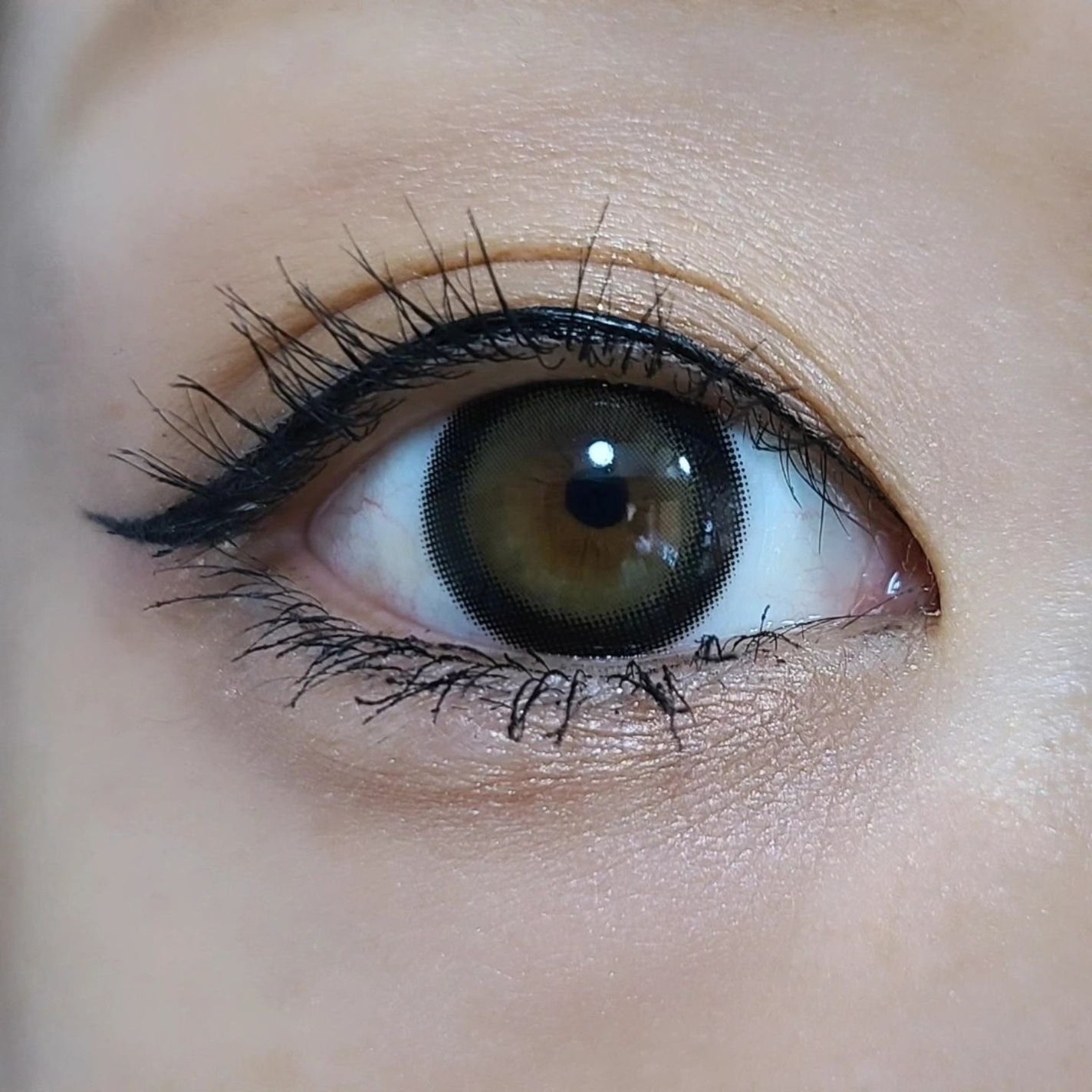 Charton 1day/Charton/ワンデー(1DAY)カラコンを使ったクチコミ(5枚目)