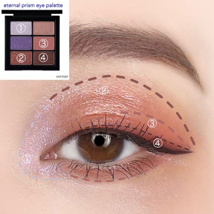 エターナルプリズムアイパレット/shu uemura/アイシャドウパレットを使ったクチコミ(2枚目)