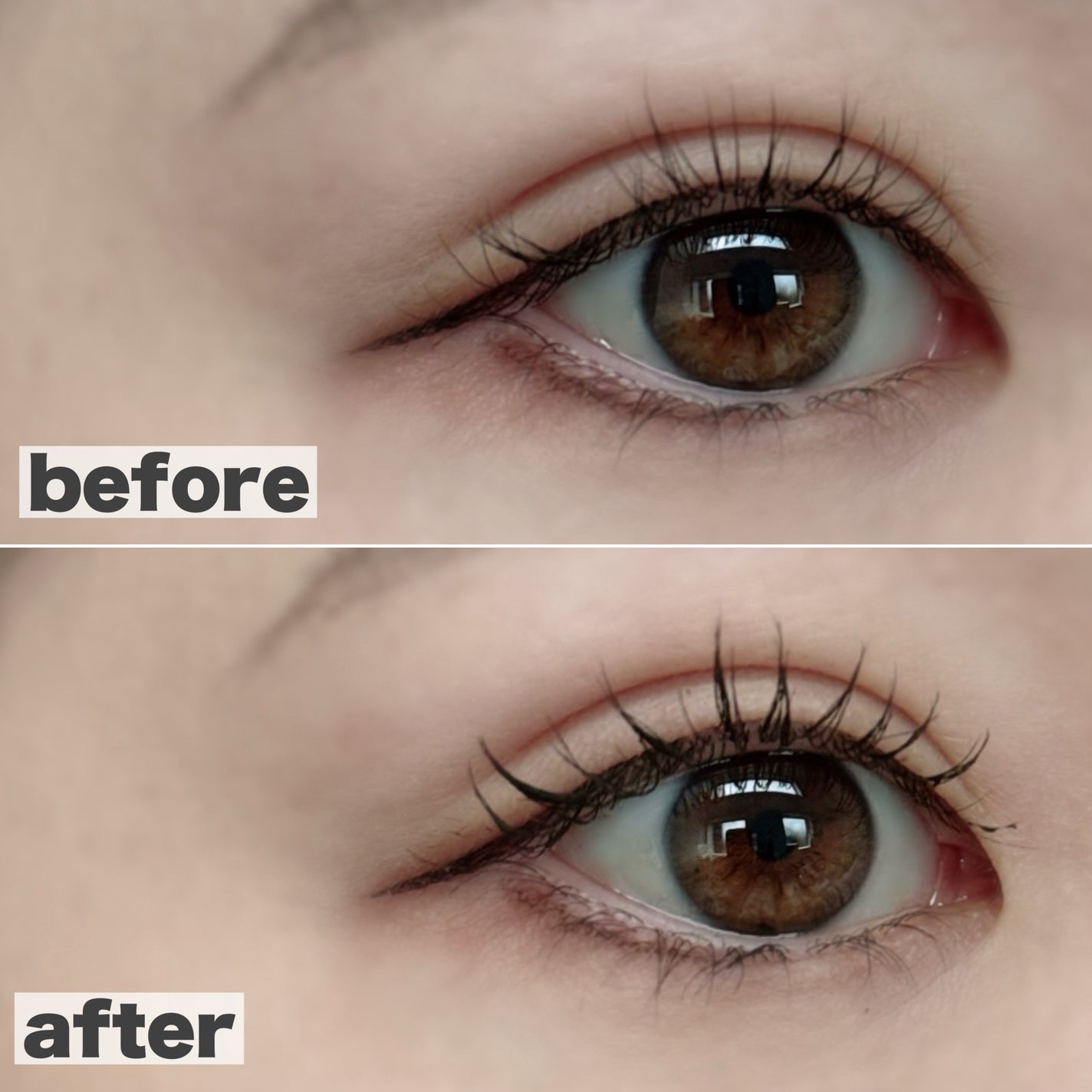 ラッシュキープマスカラ/Ririmew/マスカラを使ったクチコミ(6枚目)