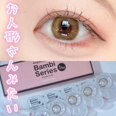 Angelcolor Bambi Series 1day  レモンヘーゼル/AngelColor/ワンデー（１DAY）カラコンの画像