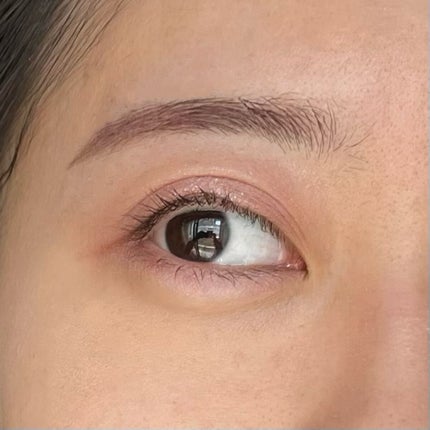 シャインオンステージアイパレット/upink/アイシャドウパレットを使ったクチコミ(6枚目)