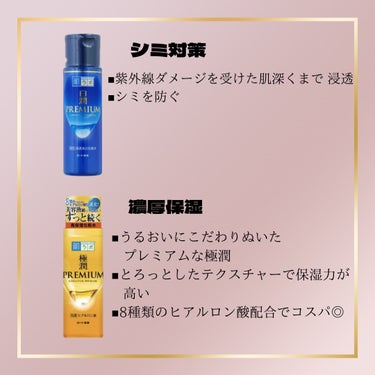 白潤プレミアム薬用浸透美白化粧水/肌ラボ/化粧水を使ったクチコミ（3枚目）