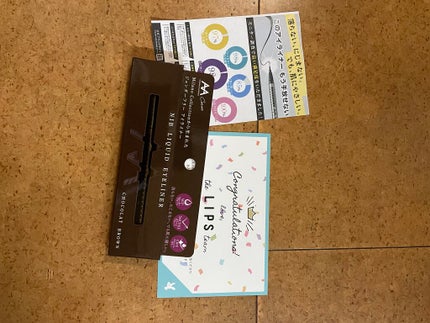 ニブ リクイドアイライナー BR1/ATSUSHI NAKASHIMA Cosme/リキッドアイライナーを使ったクチコミ(2枚目)