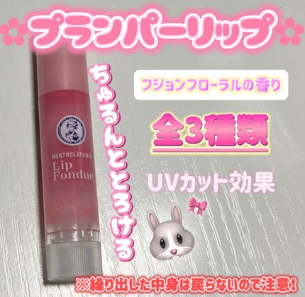 リップフォンデュ/メンソレータム/リップバームを使ったクチコミ(2枚目)