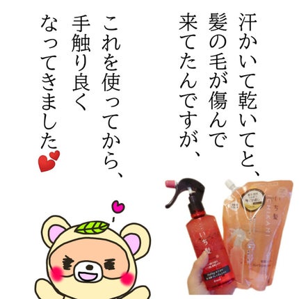 髪&地肌うるおう寝ぐせ直し和草シャワー/いち髪/ヘアミストを使ったクチコミ(4枚目)