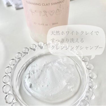 サロンレディ クレンジングクレイシャンプー クレイヘアマスク(40g)/SALON LADY/シャンプー・コンディショナーを使ったクチコミ（3枚目）