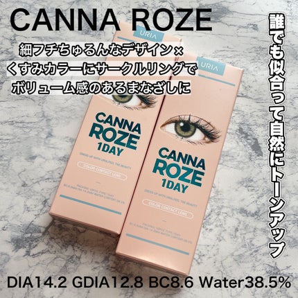 CANNA ROZE 1DAY/URIA i-DOL/ワンデー(1DAY)カラコンを使ったクチコミ(2枚目)