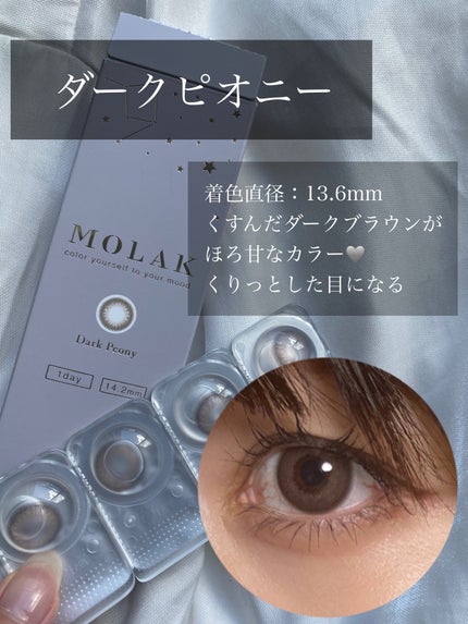 MOLAK 1day/MOLAK/ワンデー(1DAY)カラコンを使ったクチコミ(5枚目)