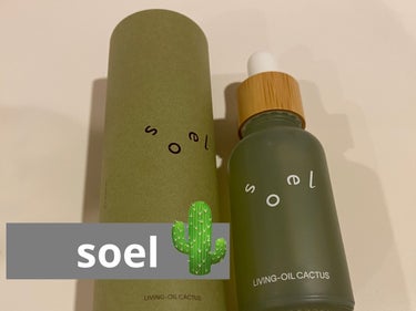 soel LIVING-OIL うちわサボテン soel