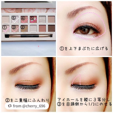 エクスプローラ12色 動物アイシャドウパレット/PERFECT DIARY/アイシャドウパレットを使ったクチコミ(2枚目)