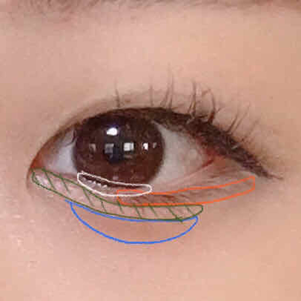 クイックラッシュカーラー/キャンメイク/マスカラ下地を使ったクチコミ（2枚目）