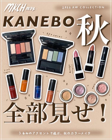 カネボウ Nールージュ/KANEBO/口紅を使ったクチコミ（1枚目）