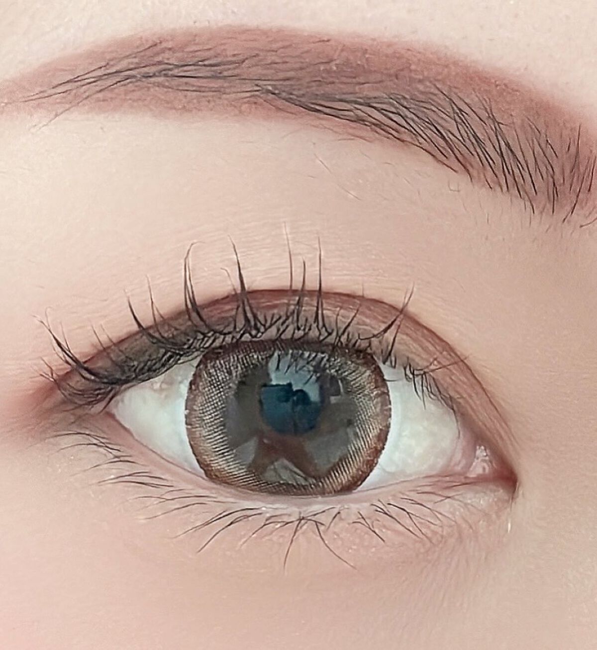 ノーズ＆アイブロウパウダー/CEZANNE/パウダーアイブロウを使ったクチコミ（3枚目）