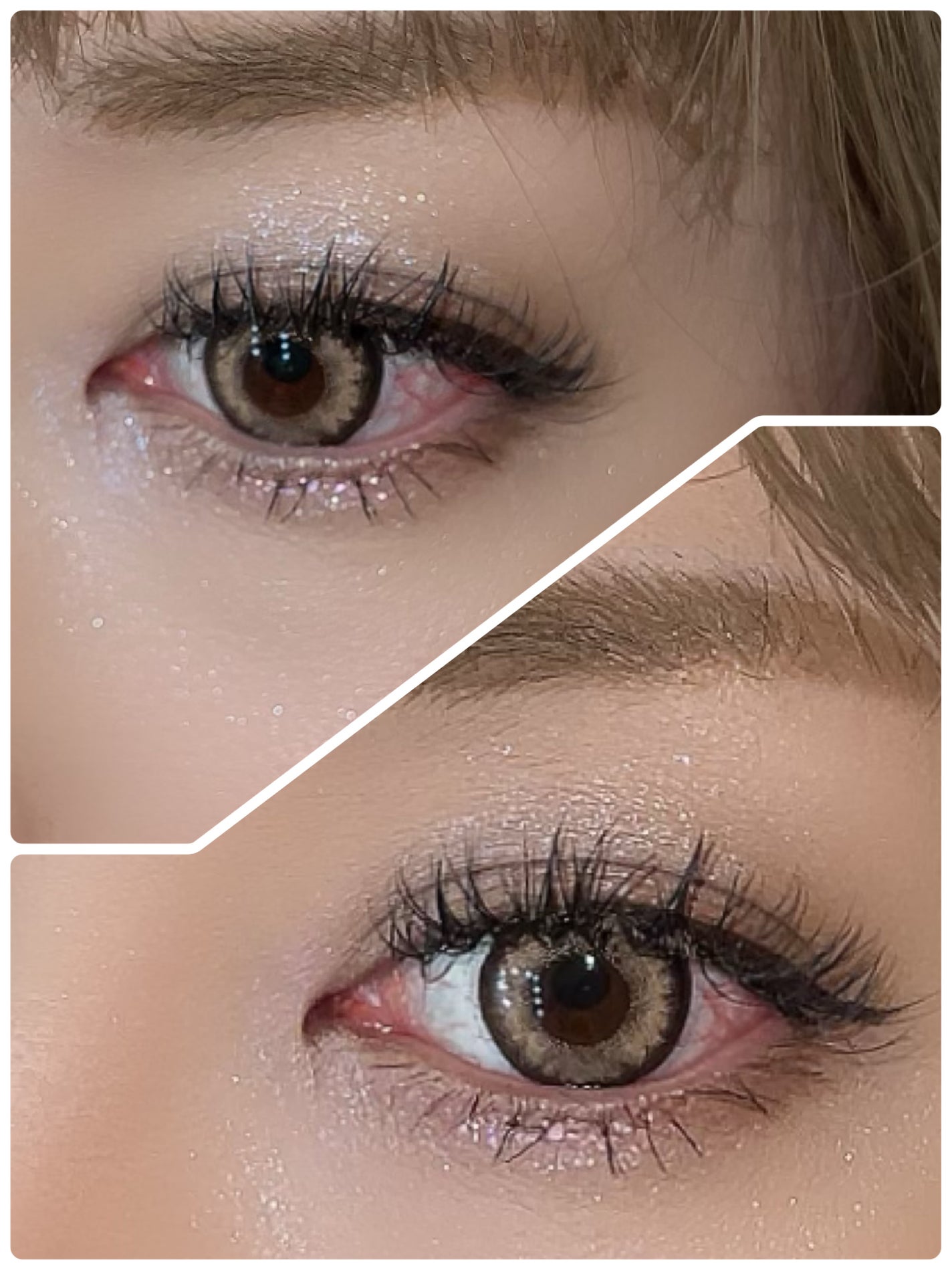 シャドウパレット/dasique/アイシャドウパレットを使ったクチコミ(2枚目)