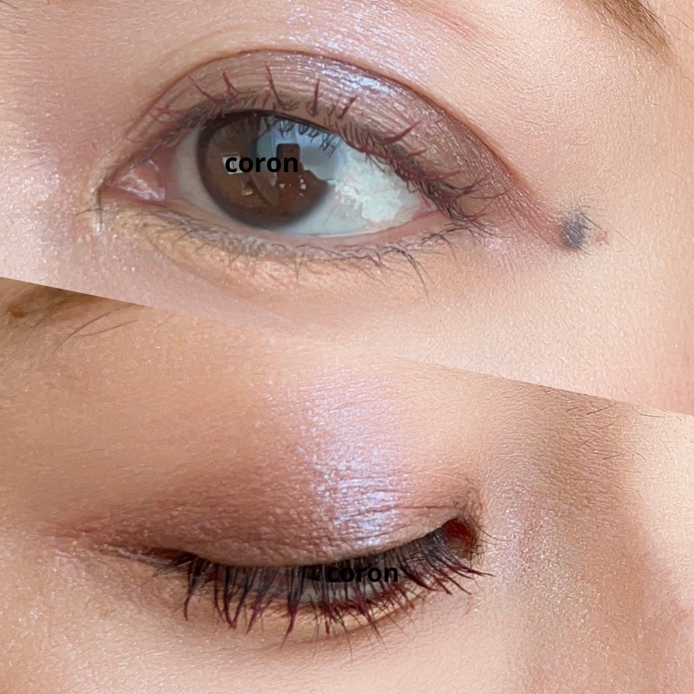 クイックラッシュカーラー/キャンメイク/マスカラ下地を使ったクチコミ(2枚目)