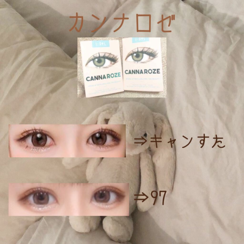 エバーカラーワンデー ナチュラル/エバーカラー/ワンデー(1DAY)カラコンを使ったクチコミ(3枚目)