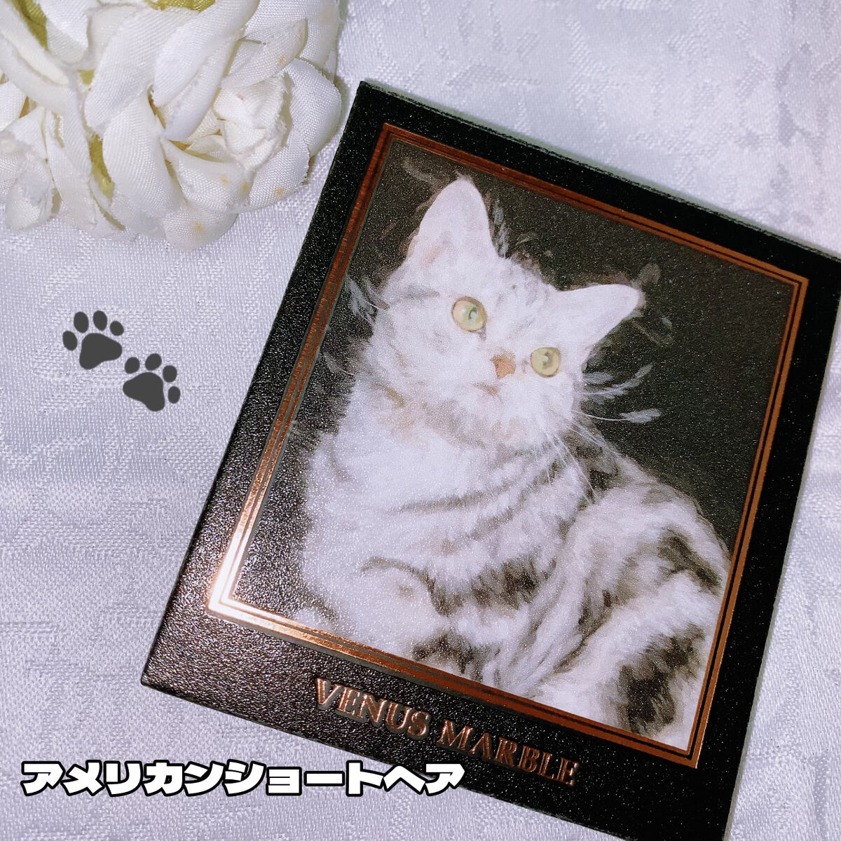 Venus Marble アイシャドウキャットシリーズ アメリカンショートヘア/Venus Marble/アイシャドウパレットを使ったクチコミ（1枚目）