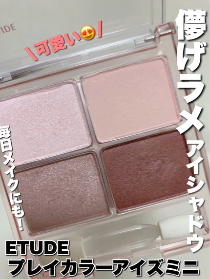 プレイカラーアイズミニ  クールカンナム/ETUDE/アイシャドウパレットを使ったクチコミ(1枚目)