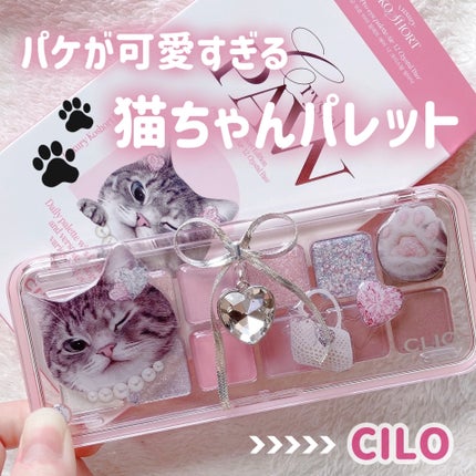 プロ アイ パレット エアー/CLIO/アイシャドウパレットを使ったクチコミ(1枚目)