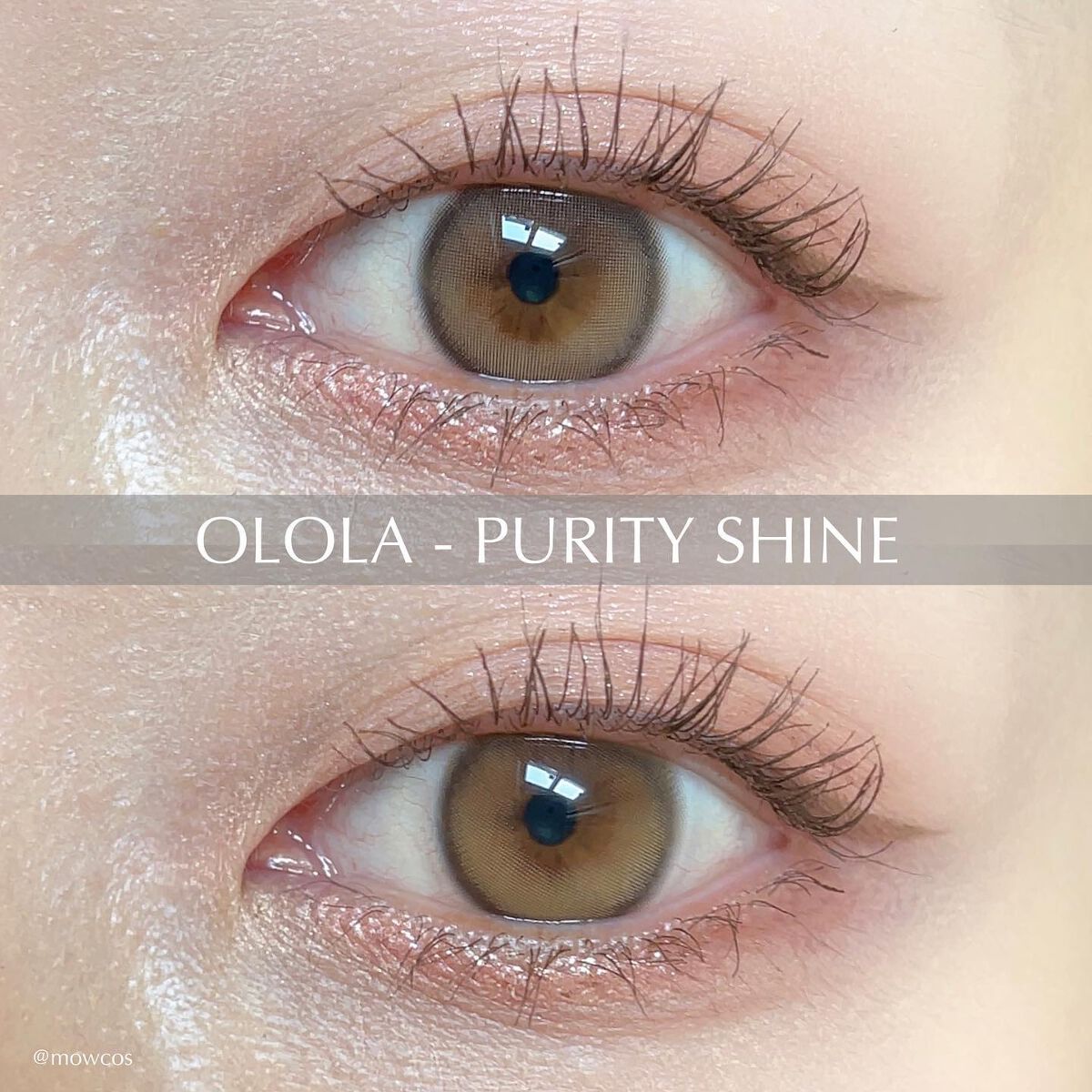 ピュアリティーシャインワンデー(PURITYSHINE 1day)/OLOLA/ワンデー（１DAY）カラコンを使ったクチコミ（1枚目）