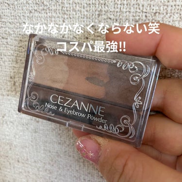 ノーズ＆アイブロウパウダー/CEZANNE/パウダーアイブロウを使ったクチコミ（1枚目）