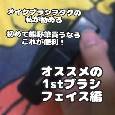 こんにちはciaoです。 

熊野筆が欲しいけど、高いし、何から買っていいか分からないって友人に私が薦めているフェイス系ブラシがこちら。

H611 スライドフェイスブラシ 大
白鳳堂の携帯用のブラシで