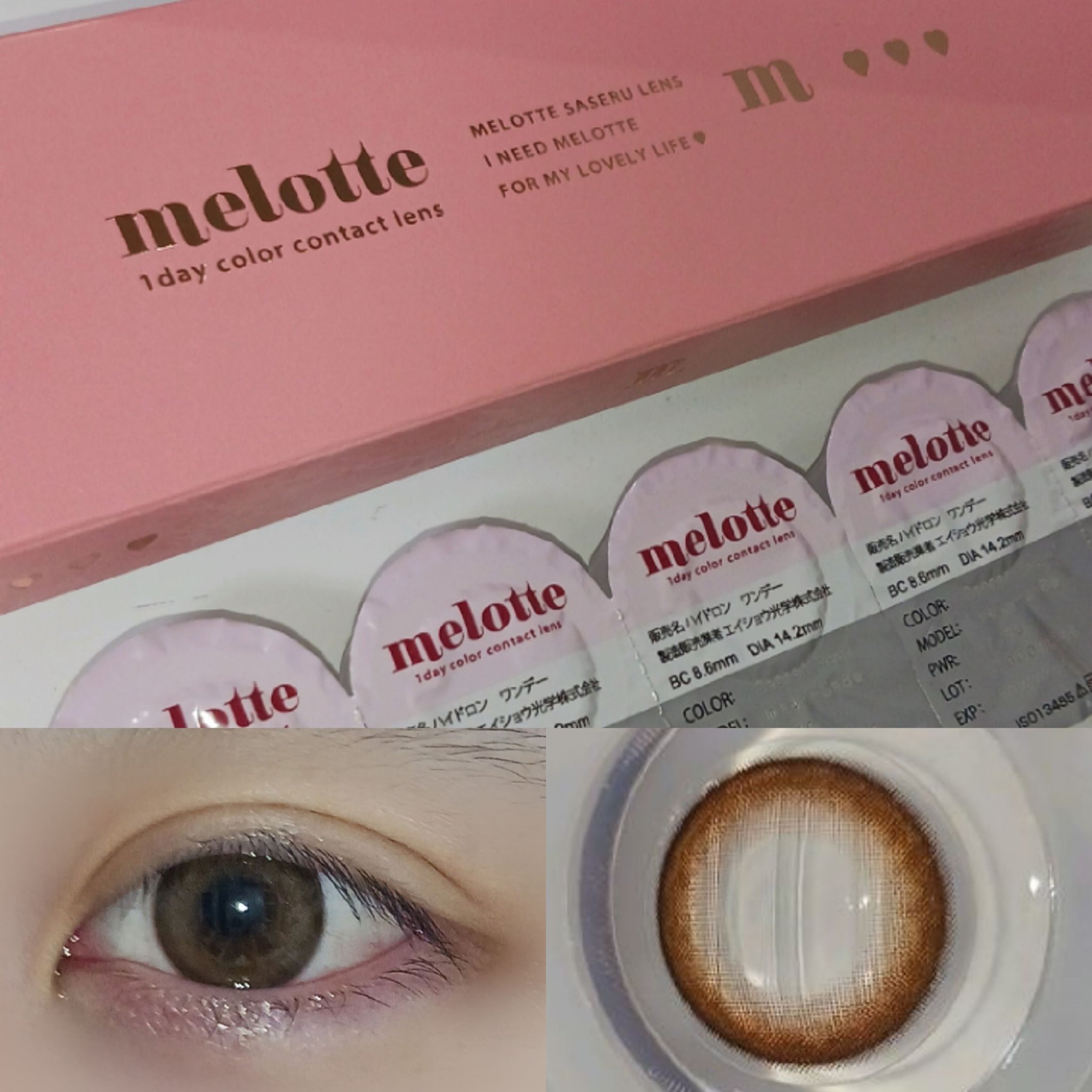 melotte 1day シークレットベア/melotte/ワンデー（１DAY）カラコンを使ったクチコミ（1枚目）