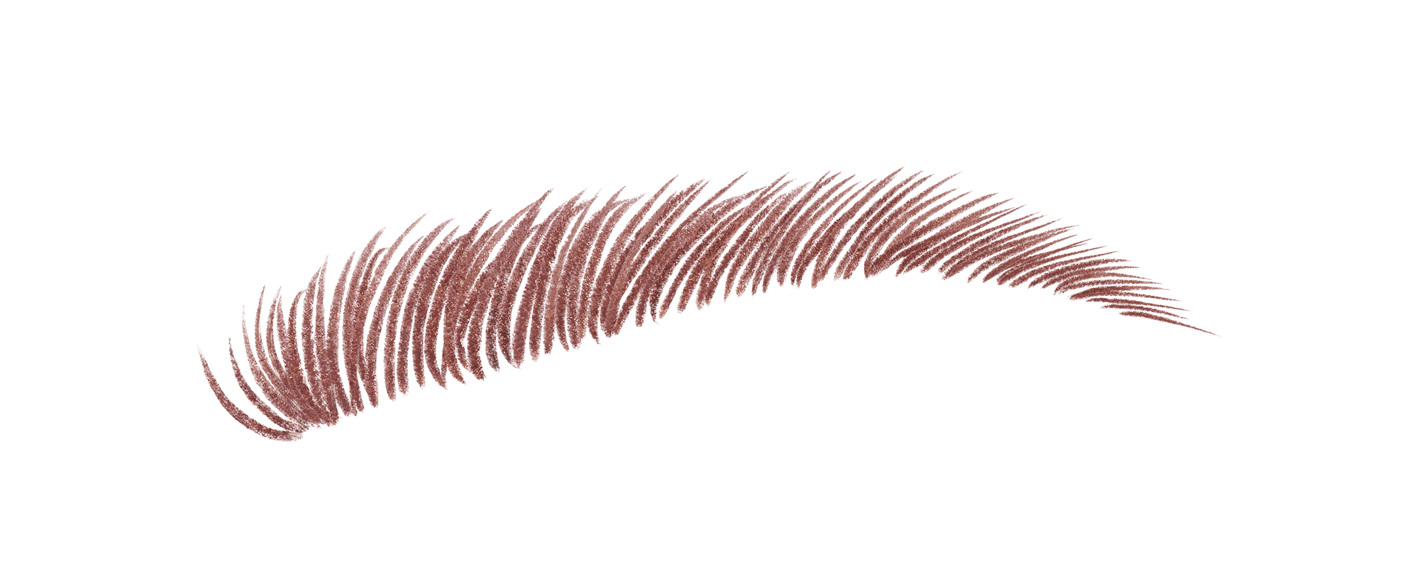 ブロー スウォードナギナタ バーガンディー（限定）