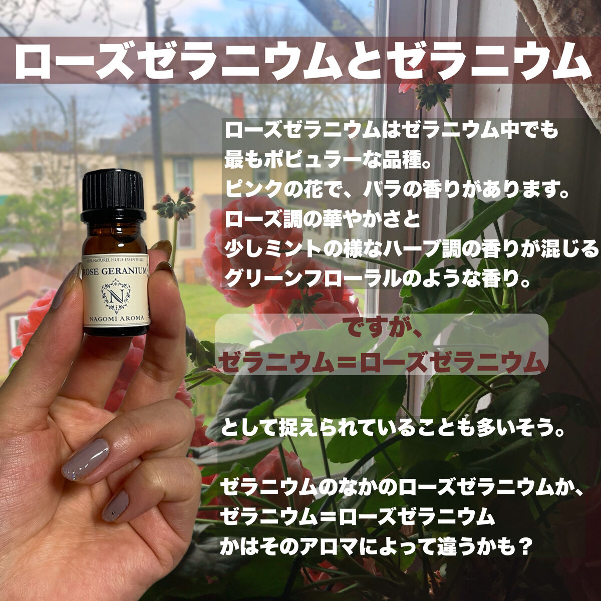 オーガニック エッセンシャルオイル ゼラニウム/NAGOMI AROMA/アロマオイルを使ったクチコミ（3枚目）